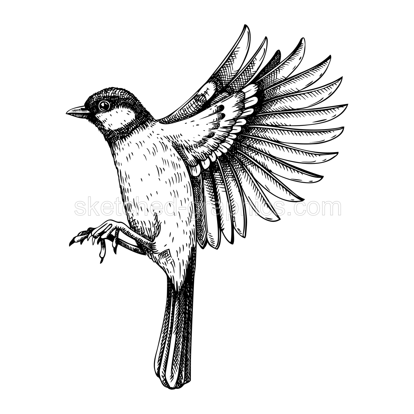 Great tit  vector sketch. Hand drawn wildlife illustration in engraved style. Passerine bird isolated on white background. Black and white flying  tit drawing for print, poster, card, cover. Illustration
